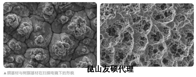 泸州蔡司泸州扫描电镜