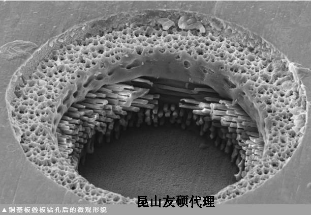 泸州蔡司泸州扫描电镜